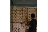 Pisang cavendish dari Bone tembus pasar Korsel