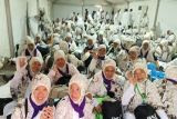 Jelang Wukuf, Ini pesan untuk jemaah calon haji perempuan