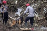 Anggota kepolisian mengerahkan anjing pelacak untuk mencari korban bencana tanah longsor di Cikahuripan, Lembang, Kabupaten Bandung Barat, Jawa Barat, Senin (26/5/2025). Hingga hari keempat pencarian pukul 13.00 WIB, tim SAR gabungan masih berupaya untuk mencari seorang warga yang dinyatakan hilang dalam bencana tersebut namun pencarian terkendala faktor cuaca dan kontur tanah yang labil. ANTARA FOTO/Abdan Syakura/agr