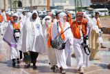Fase gelombang I Madinah selesai, Layanan 103.806 jemaah berjalan lancar