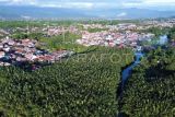 Kawasan sabuk hijau pantai di Padang