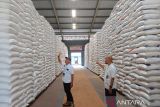 Stok beras NTB aman hingga musim panen padi tahun depan