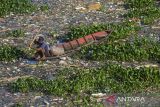 Warga menggunakan perahu melintas di aliran sungai Citarum yang dipenuhi sampah dan eceng gondok di  Batujajar, Kabupaten Bandung Barat, Jawa Barat, Selasa (27/5/2025). Warga setempat mengeluhkan banyaknya sampah dan tanaman eceng gondok yang menutupi permukaan sungai tersebut karena menyebabkan pendangkalan, mengganggu lalu lintas perahu, menimbulkan bau tak sedap serta mencemari ekosistem sungai. ANTARA FOTO/Abdan Syakura/agr