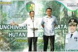 Pemkot Palangka Raya kembangkan ekowisata Hutan Pantung