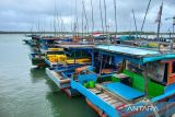 Pemkab Natuna usulkan lima desa jadi kampung nelayan desa merah putih