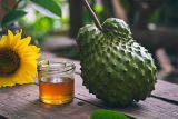 9 Fakta menarik resep Sirsak dan Madu untuk terapi kanker yang terbukti ilmiah