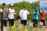 Taj Yasin bersama warga  tanam 1.000 mangrove cegah rob di Sayung