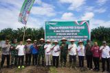 Gerakan menanam padi serentak Kotim dukung program strategis pusat