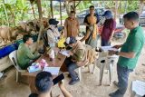 DKPP Batam kerahkan 2 tim cek kesehatan hewan kurban jelang Idul Adha 1446 H