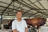 Peternakan BBS cerita progres bisnis hingga asetnya puluhan miliar