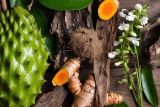 7 Obat herbal penghancur tumor yang diketahui paling ampuh