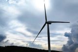 IWIP wujudkan transisi energi hijau di kawasan Industrinya
