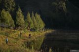 Sejumlah wisatawan mengunjungi Danau Ranu Kumbolo di Kawasan Taman Nasional Bromo Tengger Semeru (TNBTS), Lumajang, Jawa Timur, Sabtu (31/5/2025). Berdasarkan data Balai Besar TNBTS kunjungan wisatawan pendakian Semeru yang dibatasi kuota 200 orang per hari tersebut pada libur panjang Kenaikan Yesus Kristus mengalami peningkatan kunjungan hingga 100 orang per hari dibandingkan hari biasa yang rata-rata hanya puluhan pendaki. Antara Jatim/Irfan Sumanjaya/um 