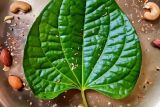 4 Fakta mengejutkan manfaat daun sirih untuk infeksi mata