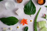 10 Tanaman obat ampuh untuk mata merah dan iritasi