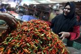 Pedagang menata cabai rawit di lapak grosir Pasar Induk Gadang, Malang, Jawa Timur, Selasa (3/6/2025). Badan Pusat Statistik (BPS) Jawa Timur mencatat, pada Mei 2025 terjadi deflasi sebesar 0,34 persen secara bulanan (month-to-month) dengan komoditas penyumbang utama deflasi tersebut antara lain cabai rawit (0,21 persen), bawang merah (0,08 persen), dan cabai merah (0,03 persen). ANTARA Jatim/Ari Bowo Sucipto/mas.