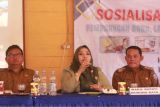 Wakil Ketua I DPRD Mura dukung upaya percepatan pemerataan listrik di desa