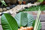 5 Herbal aman untuk diare pada Balita yang perlu dicoba