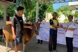 Pemkot Mataram himpun puluhan hewan kurban sambut Idul Adha
