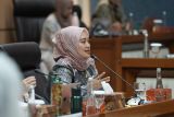 Komisi VII minta izin tambang di Raja Ampat dikaji ulang