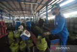 Pekerja melakukan pengisian ulang tabung gas elpiji subsidi berukuran 3 kilogram di Stasiun Pengisian Bulk Elpiji Kota Bengkulu, Bengkulu, Jumat (19/4/2024). Pertamina Patra Niaga Sumbagsel menambah pasokan gas elpiji subsidi berukuran 3 kilogram sebanyak delapan persen atau setara dengan 100 ribu tabung per hari dari kuota harian 202 metrik ton (MT) di wilayah Provinsi Bengkulu sehingga cukup untuk memenuhi kebutuhan warga selama perayaan hari besar keagamaan Idul Adha 1446 H dan libur panjang. ANTARA FOTO/Muhammad Izfaldi/rwa