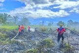 Kebakaran lahan mulai terjadi, BPBD Kotim tingkatkan kesiagaan