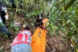 Tulang belulang manusia tak utuh ditemukan di hutan Palangka Raya