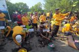 Pemkab Pekalongan  tanam 2.500 mangrove di wilayah rawan rob