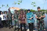 Pangdam Diponegoro perintahkan  jajaran tanam mangrove cegah abrasi
