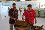 Dua orang pemilik pabrik Biji Sesawi mengecek tepung ikan hasil olahan di Muncar, Banyuwangi, Jawa Timur,Kamis (5/6/2025). Industri pengolahan yang memproduksi tepung ikan sebagai bahan baku pakan ternak itu mampu menyerap hasil tangkap nelayan hingga 200 ton ikan per hari. Antara Jatim/Budi Candra Setya/um