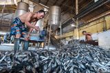 Pekerja mengecek ikan yang akan diproduksi menjadi tepung di Pabrik Biji Sesawi, Muncar, Banyuwangi, Jawa Timur,Kamis (5/6/2025). Industri pengolahan yang memproduksi tepung ikan sebagai bahan baku pakan ternak itu mampu menyerap hasil tangkap nelayan hingga 200 ton ikan per hari. Antara Jatim/Budi Candra Setya/um