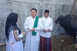 Wali Kota Bandarlampung serahkan sapi bantuan Presiden untuk masyarakat
