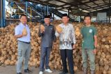 DPRD Kotim dukung kembali beroperasinya pabrik pengolahan kelapa