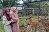 Ada tiga satwa baru di Semarang Zoo