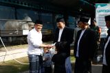 Ahmad Luthfi:  Ada 547.590 hewan kurban di Jawa Tengah