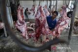 Pekerja memotong daging kurban sapi di UPT Rumah Potong Hewan (RPH) Bayur, Kota Tangerang, Banten, Jumat (6/6/2025). Pada perayaan Idul Adha 1446 H, RPH tersebut melayani pemotongan hewan kurban dari masyarakat sekitar 50-60 ekor setiap harinya hingga Minggu (8/6) dengan tarif retribusi sebesar Rp60 ribu per ekor. ANTARA FOTO/Putra M. Akbar/gp