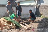 Sebanyak 13.860 hewan kurban dipotong di Bantul pada Idul Adha 1446 H