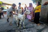 Warga mengarak kambing saat Pawai Hewan Kurban di Wetan Pasar, Malang, Jawa Timur, Jumat (6/6/2025). Kegiatan yang dilakukan setahun sekali itu merupakan tradisi yang dilakukan warga setempat sebelum proses penyembelihan hewan kurban saat Hari Raya Idul Adha. ANTARA Jatim/Muhammad Mada/mas.