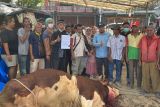 Daging kurban presiden di Pasaman Barat dibagikan ke 700 penerima