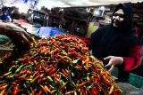 Harga pangan hari ini 25 Juni bawang merah Rp42.651/kg, cabai rawit Rp56.369/kg