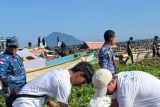 PLN UPP kumpulkan 1,8 ton sampah di Pantai Karangria Manado