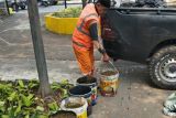 Limbah penyembelihan hewan kurban dijadikan pupuk organik
