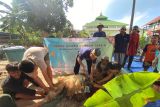 PHE OSES salurkan kurban ke 15 lokasi di wilayah pesisir dan kepulauan
