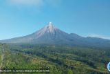 Lima kali erupsi Gunung Semeru dengan tinggi letusan hingga 900 meter