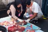 Enam kasus penyakit daging kurban ditemukan di Mataram