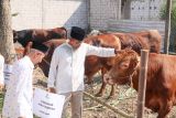 Baznas Jateng olah sapi kurban jadi daging kornet