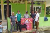Idul Adha 1446 H, Alex Indra Lukman Tebar 21 Hewan Kurban di Mentawai, Wujud Kepedulian Nyata Wakil Rakyat