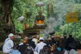 Sejumlah masyarakat Suku Tengger berdoa sebelum mengikuti ritual mendak tirta di air terjun Madakaripura Kabupaten Probolinggo, Jawa Timur, Minggu (8/6/2025). Ritual berdoa dan pengambilan air suci tersebut merupakan rangkaian jelang Upacara Yadnya Kasada bagi masyarakat Suku Tengger. Antara Jatim/Irfan Sumanjaya/mas