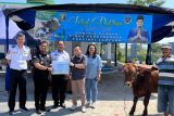 Pelindo Regional 2 Panjang bagikan 25 hewan kurban kepada masyarakat Lampung