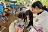 Karantina Kepri jamin kesehatan pangan lewat pemeriksaan terhadap daging kurban